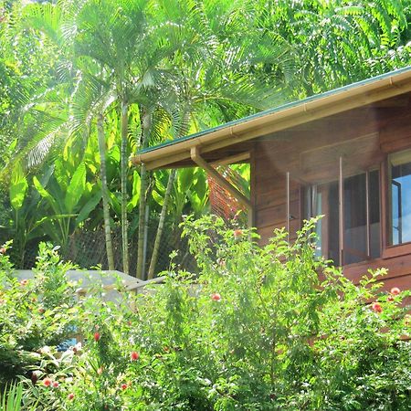 Castara Retreats Apartment Room photo