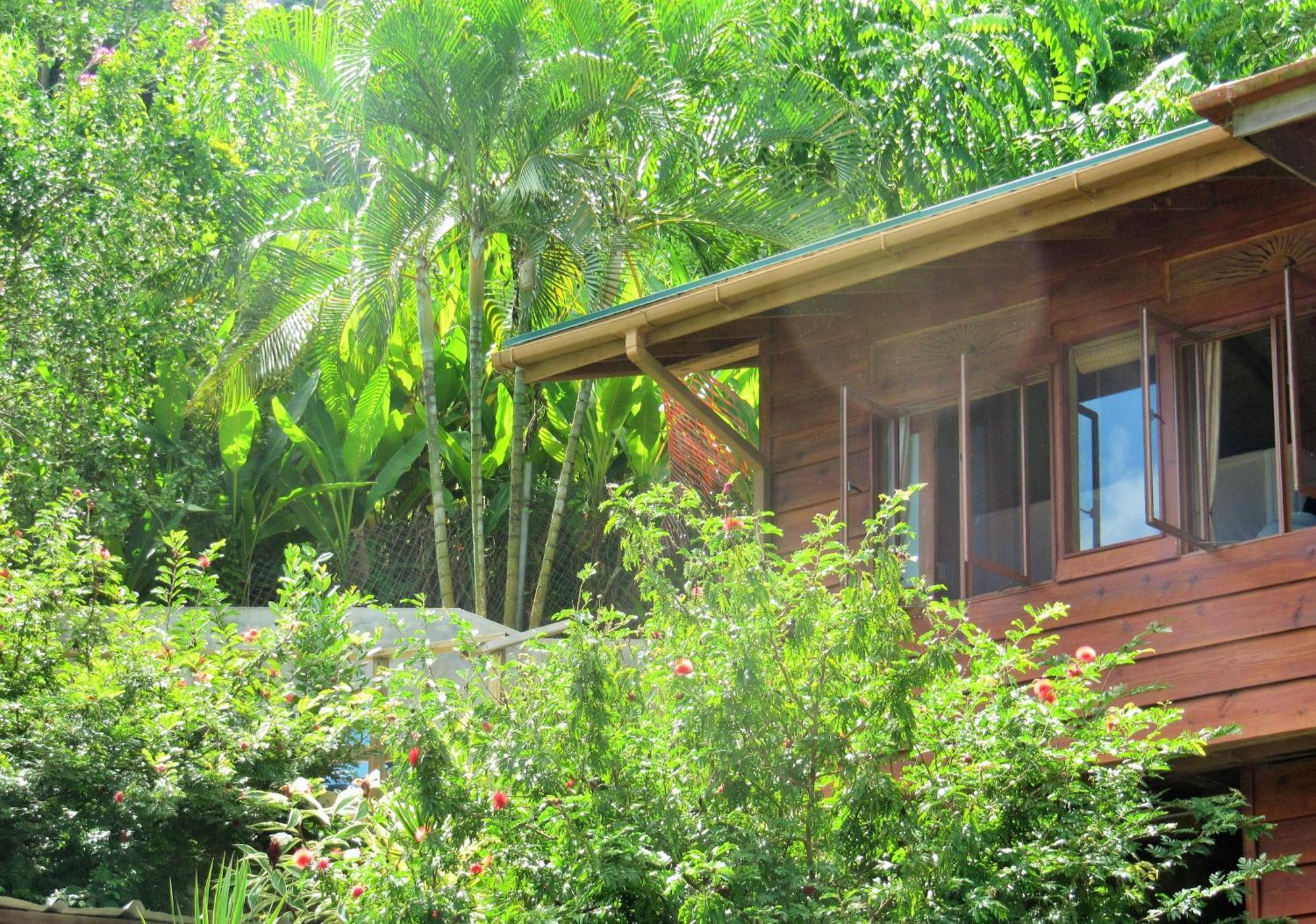 Castara Retreats Apartment Room photo